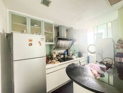 Parc Mackenzie (D9), Apartment #470281711